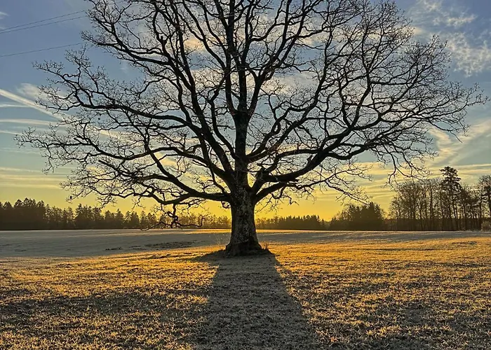 Escapade Boisee * Vencimont